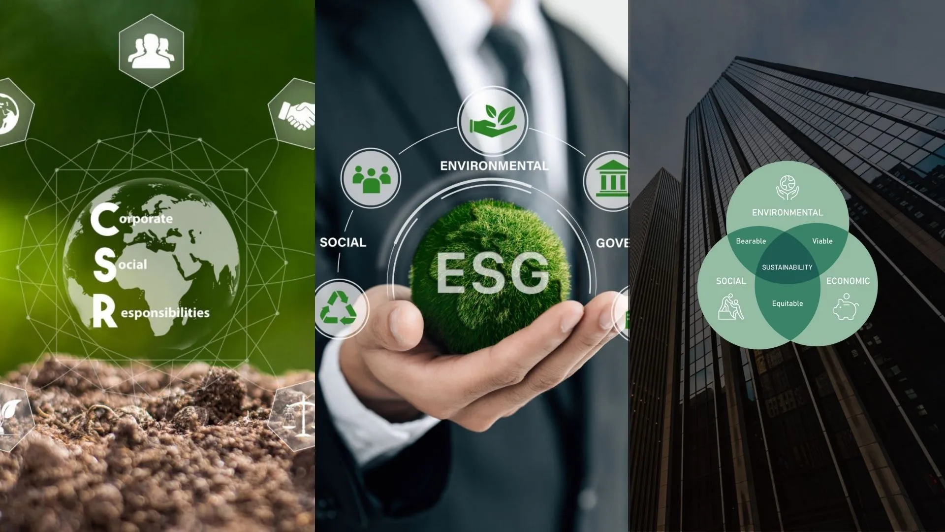 Phân biệt CSR – ESG – Phát triển bền vững: Những điều bạn cần biết